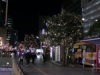 名駅通 イルミネーションの写真