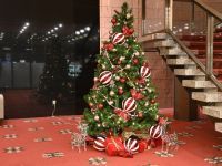 ホテルオークラ神戸 クリスマスイルミネーションの写真