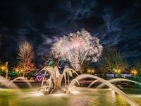 フラワーイルミネーションinとっとり花回廊の写真