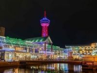 ベイサイドイルミネーションの写真