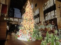 大丸福岡天神店 エルガーラ・パサージュ広場 クリスマスツリーの写真