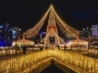 クリスマスアドベント ナカス ヒカリノ アドベントの写真