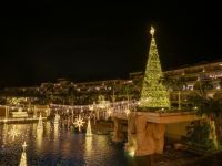 スターダストファンタジアの写真