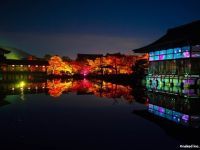 平安神宮×NAKED 冬のライトアップの写真