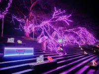 おおがわら桜イルミネーションの写真