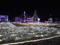 イルミネーションフェスタ（埼玉県）の写真