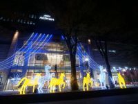 府中けやき並木イルミネーションの写真