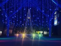 ウィンターイルミネーションin太田川の写真