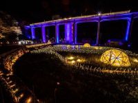 INAKAイルミの写真