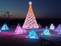 石井ウィンターイルミネーションの写真