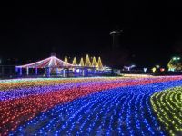 木曽三川公園センター・冬の光物語の写真