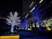 名古屋ルーセントタワーウインターイルミネーションの写真