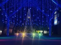 ウィンターイルミネーションin太田川の写真