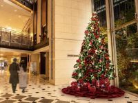 HERBIS CHIRSTMASの写真