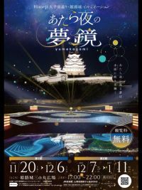 Himeji 大手前通り・姫路城イルミネーション あたら夜の夢鏡の写真