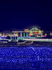 フローランテ宮崎 イルミネーション・フラワーガーデン LOVE GARDENの写真