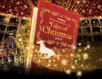中山競馬場クリスマスイルミネーション「Tales of Christmas」の写真