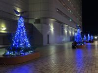 横浜駅東口はまテラス「はまテラスイルミネーション」の写真