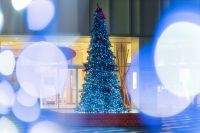 あきた光のファンタジーの写真