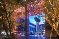 中目黒あかりまつりの写真