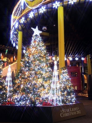 STAR LIGHT CHRISTMAS 2015 in 新風館写真１