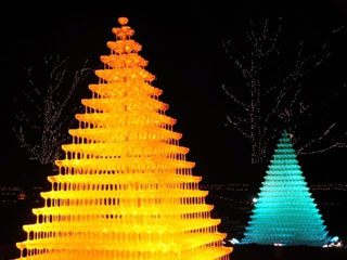 国営昭和記念公園 Winter Vista Illuminationの写真３