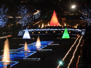 国営昭和記念公園 Winter Vista Illuminationの写真４