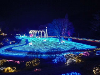 京都イルミエール おとぎの森 最後の贈り物 イルミネーション特集