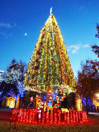 ノリタケの森 クリスマスガーデン写真1