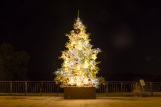 メッツァの北欧クリスマスの写真3