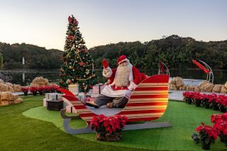 メッツァの北欧クリスマスの写真4