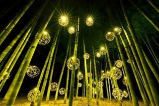 嵐山月灯路（Arashiyama Bamboo Path） 写真２