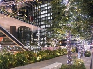 東京スクエアガーデン ウィンターイルミネーションの写真３