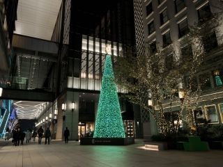 京橋エドグラン クリスマスイルミネーションの写真４