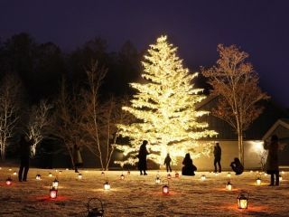 軽井沢星野エリアのクリスマスの写真３