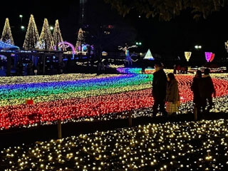 木曽三川公園センター 冬の光物語 イルミネーション特集