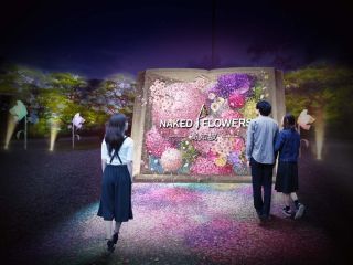 NAKED FLOWERS -高知城-の写真３