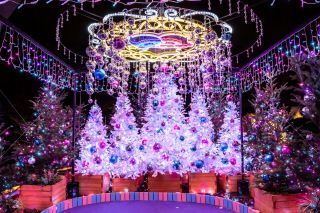 東京タワー TOKYO TOWER CITY LIGHT FANTASIA Winterの写真４