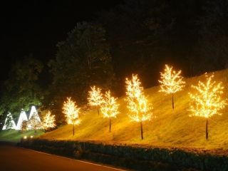 メナード青山リゾート ライトアップ写真１