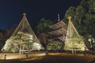 ホテル椿山荘東京 「森のオーロラと東京雲海」写真２