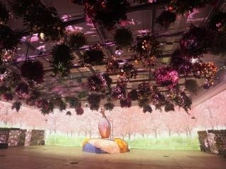 HANA・BIYORI 花とデジタルのアートショー写真２