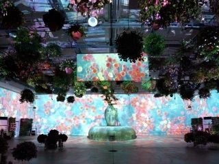 HANA・BIYORI 花とデジタルのアートショーの写真３