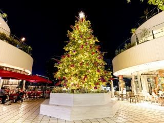 横浜ベイクォーター Christmas Wonderland写真１