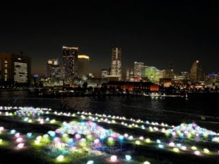 横浜港フォトジェニックイルミネーション写真１