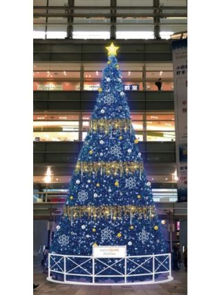 相模大野ステーションスクエア 「ステスク クリスマスツリー」写真１