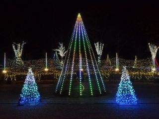 Winter Illumination 光の森のページェント（国営アルプスあづみの公園 堀金・穂高地区）の写真３