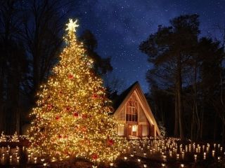 軽井沢高原教会 星降る森のクリスマス写真１