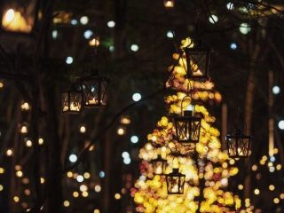 軽井沢高原教会 星降る森のクリスマスの写真３