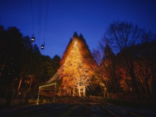 神戸布引ハーブ園 ロープウェイ「古城のクリスマス」の写真３