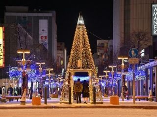 あさひかわ街あかりイルミネーション写真２